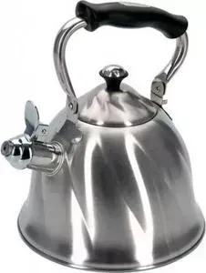 Чайник REGENT 2.6 л Tea (93-TEA-29)