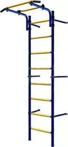 Детский спортивный комплекс КАРУСЕЛЬ Комета Next Light (2С-8.06.Г1.490.11-01) (синий/жёлтый)