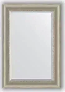 Зеркало Evoform с фацетом в багетной раме Exclusive 66x96 см, хамелеон 88 мм (BY 1275)
