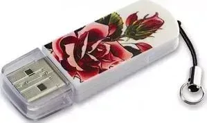 Флеш-накопитель VERBATIM 32Gb Mini Tattoo Edition Rose (49896)