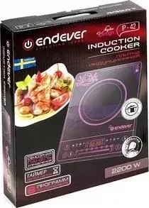 Настольная плита ENDEVER IP-42 черный