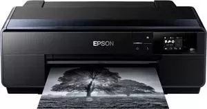 Принтер EPSON SC-P600 (C11CE21301 )