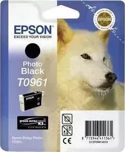 Картридж EPSON R2880 (C13T09614010)