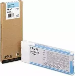 Картридж EPSON Stylus Pro 4800/ 4880 (C13T606500)