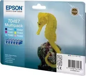 Картридж EPSON C13T04874010