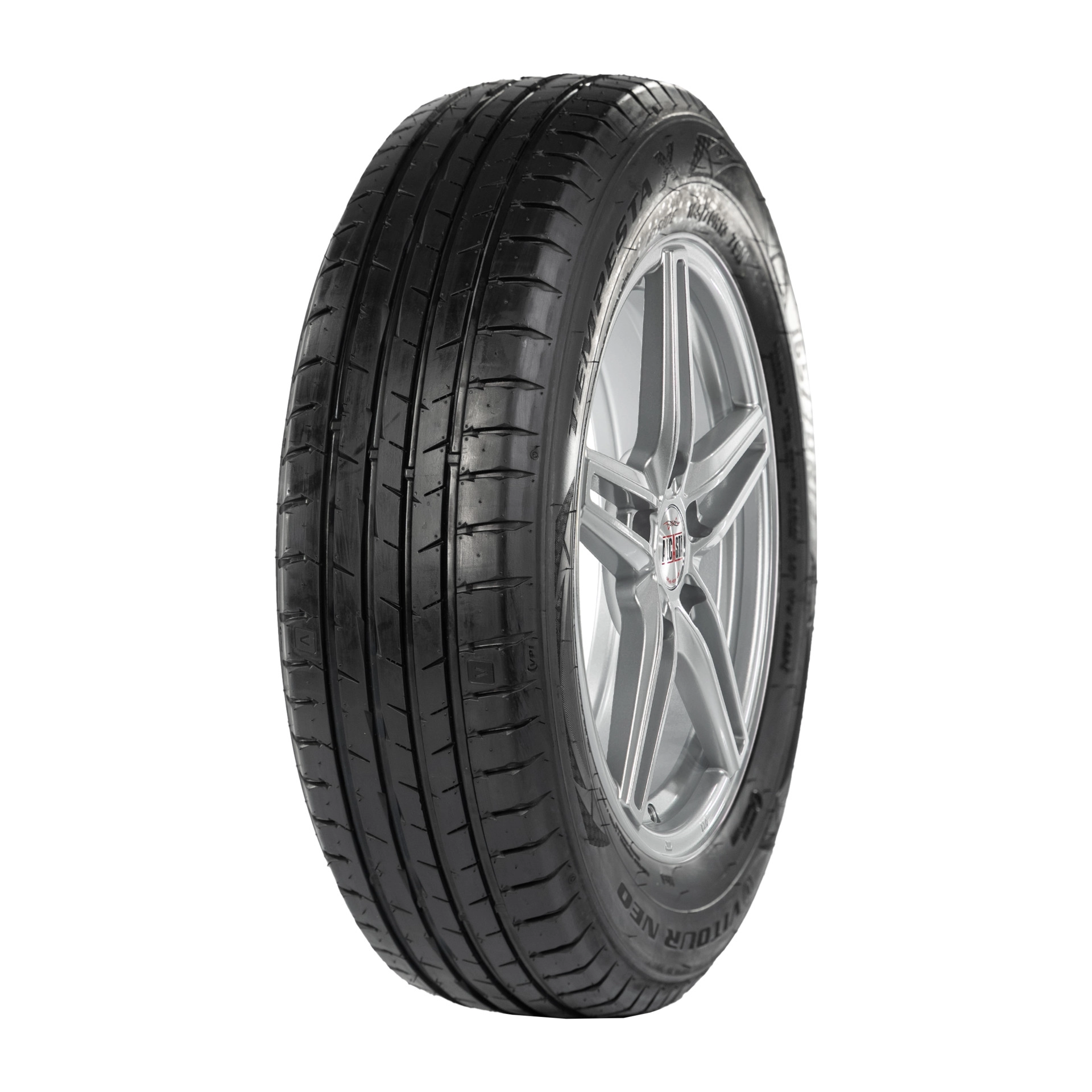 Шина VITOURNEO TEMPESTA X VITOUR NEO X 165/70R13 79N