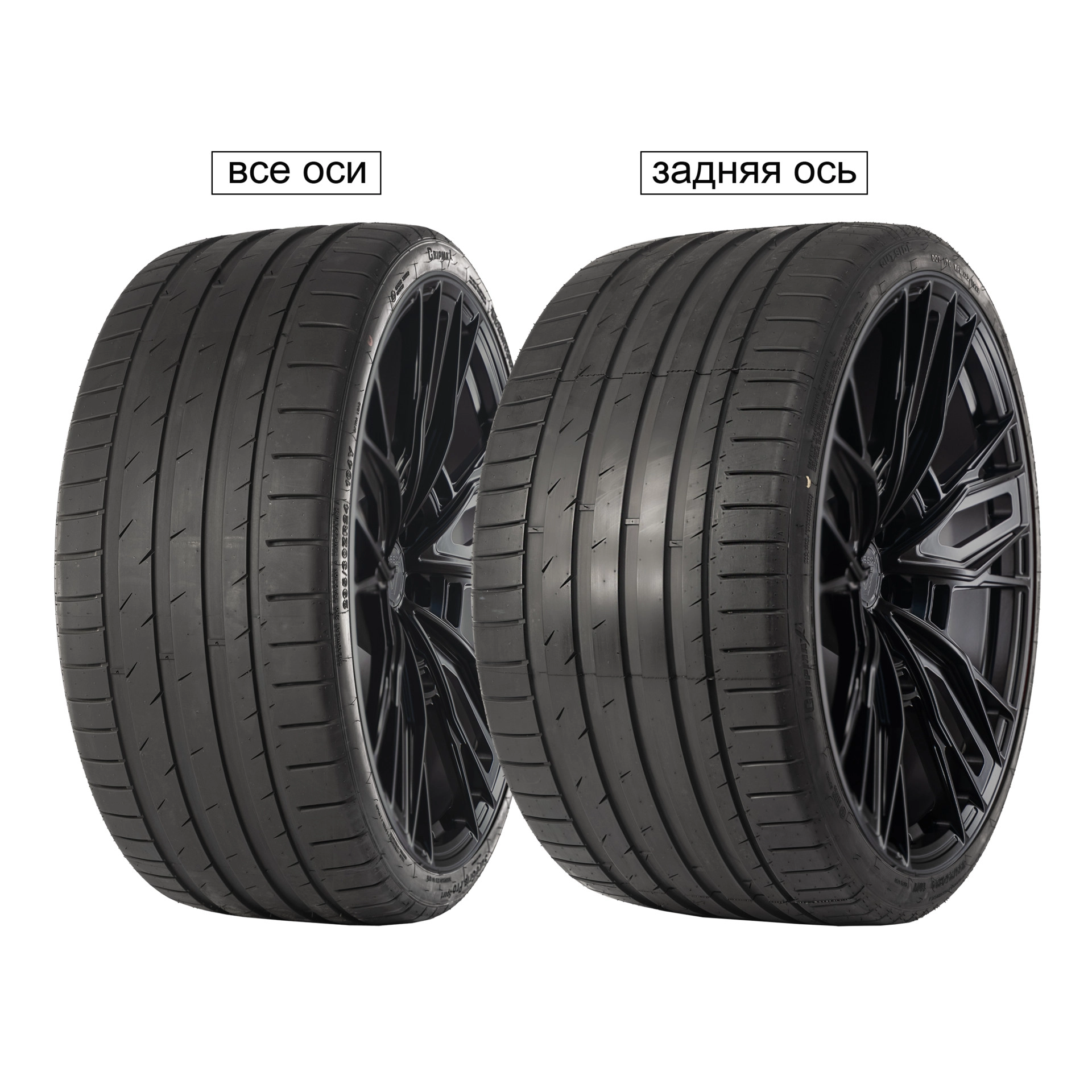 Шина GRIPMAX SureGrip Pro Sport (задняя ось) 305/30R19 102Y XL задняя ось