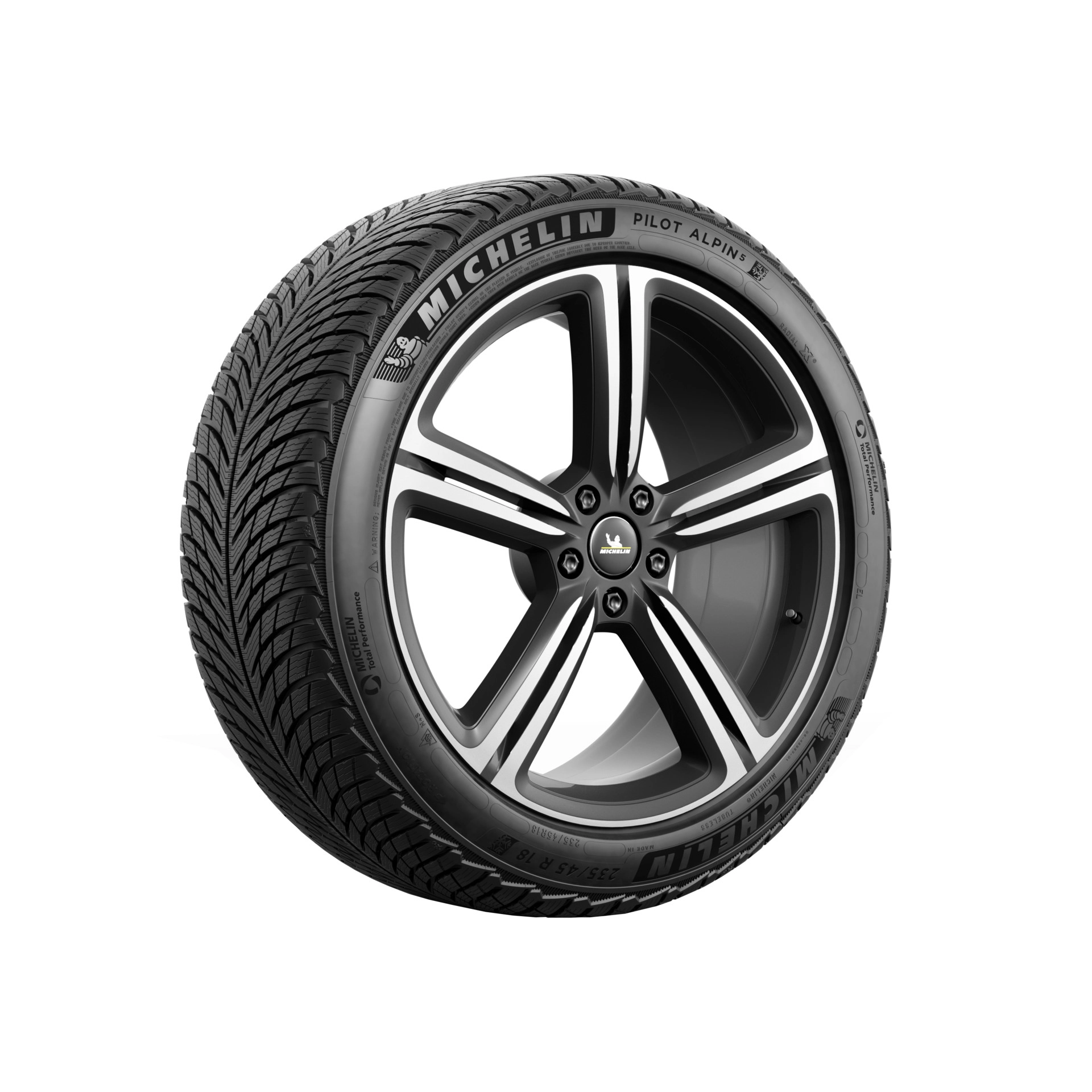 Шина MICHELIN PILOT ALPIN 5 5 275/50R21 113V XL*(2021)