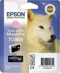 Картридж EPSON R2880 (C13T09664010)