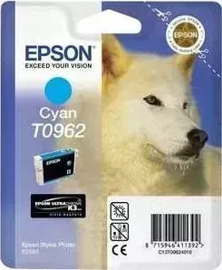Картридж EPSON R2880 (C13T09624010)