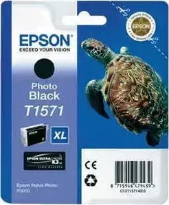Картридж EPSON Stylus Photo R3000 (C13T15714010)