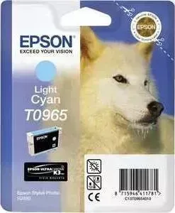 Картридж EPSON R2880 (C13T09654010)