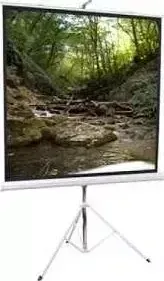 Экран ScreenMedia Apollo-T STM-1101