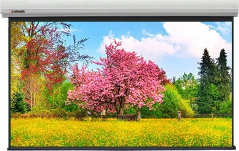 Экран LUMIEN LCC-100116