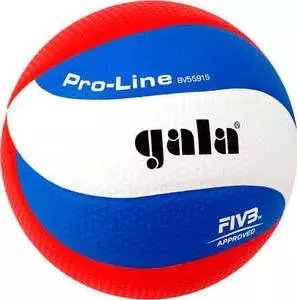 Мяч волейбольный Gala Pro-Line 10 FIVB (BV5591S), размер 5, цвет бело-голубо-красный