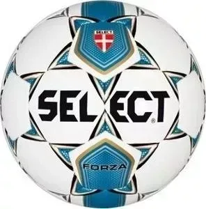 Мяч футбольный Select Forza арт. 811108-002 р.5