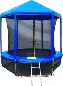 Батут SPORT ELITE 8FT 2,44м с защитной сеткой (внутрь) и крышей GB20202-8FT