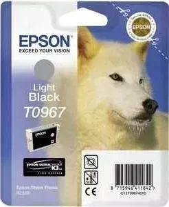 Картридж EPSON R2880 (C13T09674010)