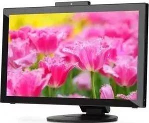 Монитор NEC E232WMT Black (E232WMT)