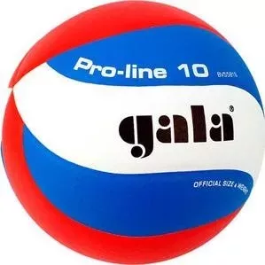 Мяч волейбольный Gala Pro-Line 10 размер 5, цвет бело-голубо-красный (BV5581S)