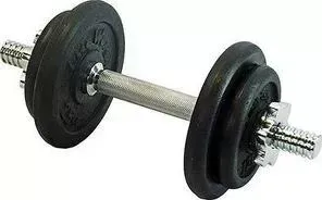 Гантель LITE WEIGHTS 4542LW сборная 9.43 кг