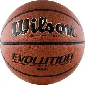 Мяч баскетбольный Wilson Evolution WTB0586 р. 6