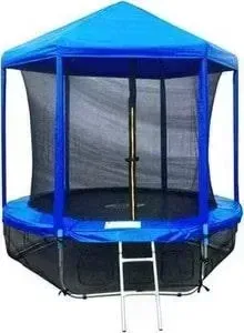 Батут SPORT ELITE 6FT 1,83м с защитной сеткой (внутрь) и крышей GB20202-6FT