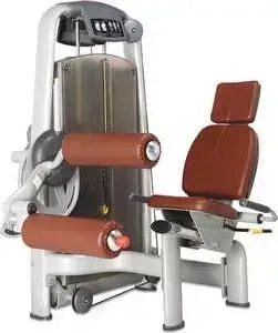 Сгибание ног сидя Bronze Gym A9-013