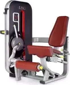 Разгибание ног сидя Bronze Gym MT-014 C