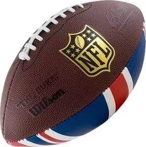 Мяч для американского футбола Wilson NFL Team Logo WTF1748XBLGUJ