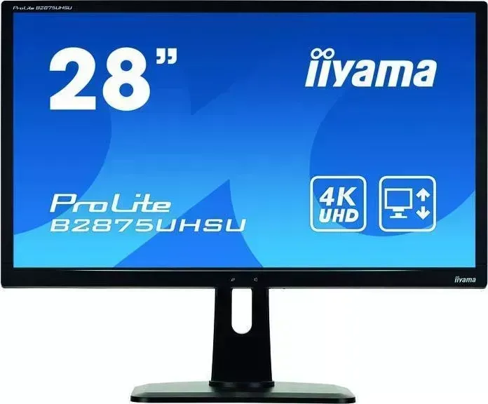 Монитор IIYAMA B2875UHSU-B1