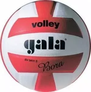 Мяч волейбольный Gala Bora 10", арт. BV5671S, р. 5, бело-красный