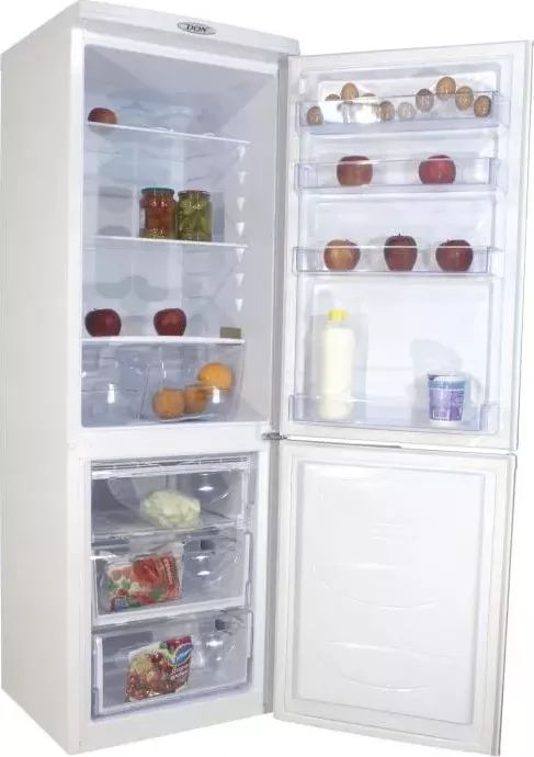 Холодильник DON R 290 Белая искра (BI)