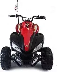 Детский спортивный электроквадроцикл Dongma ATV Brushless 12V - DMD-278A