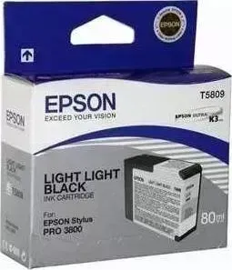 Картридж EPSON Stylus Pro 3800 (C13T580900)