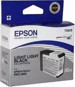 Картридж EPSON Stylus Pro 3800 (C13T580100)
