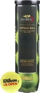 Мяч для большого тенниса Wilson US Open Extra Duty WRT116200