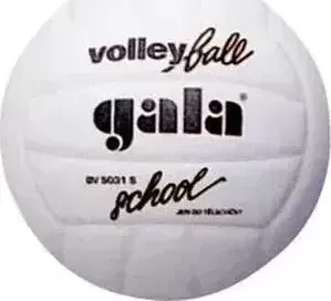 Мяч волейбольный Gala School Foam (BV5031S)