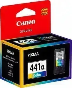Картридж CANON CL-441XL color (5220B001)