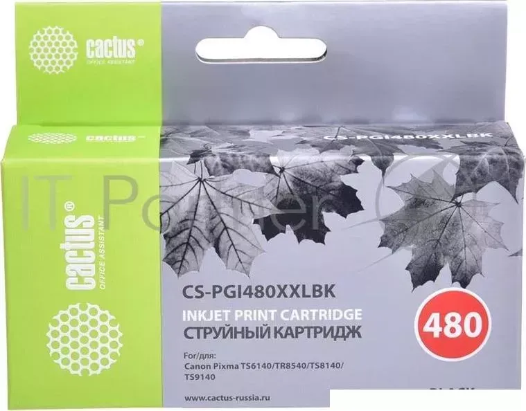 Картридж струйный CACTUS CS PGI480XXLBK черный 24.4мл для Canon Pixma TR7540/TR8540/TS6140/TS8140