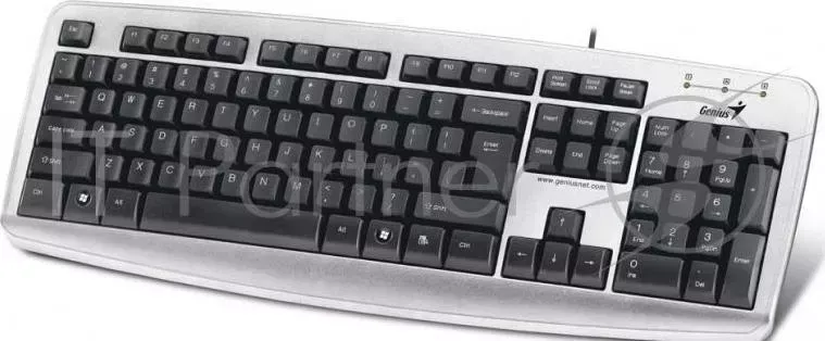Клавиатура GENIUS KB110X черный USB