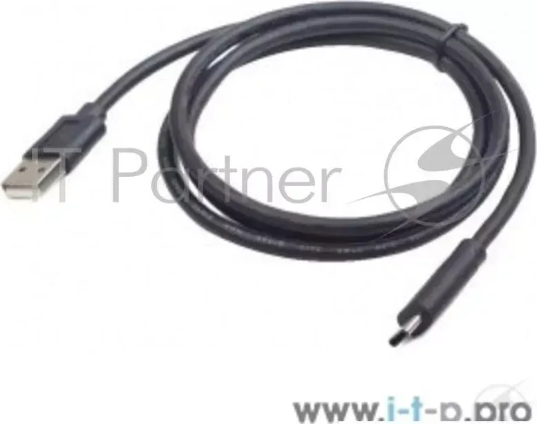 Кабель USB CABLEXPERT CCP 2 AMCM 6, 2.0 AM/USB3.1 Type C, 1.8м, пакет