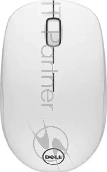 Мышь беспроводная Mice : DELL : WM126 Wireless Mouse (Kit) White