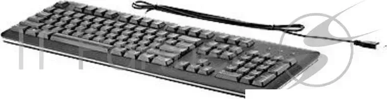 Клавиатура HP QY776AA черный USB Hewlett-Packard HP