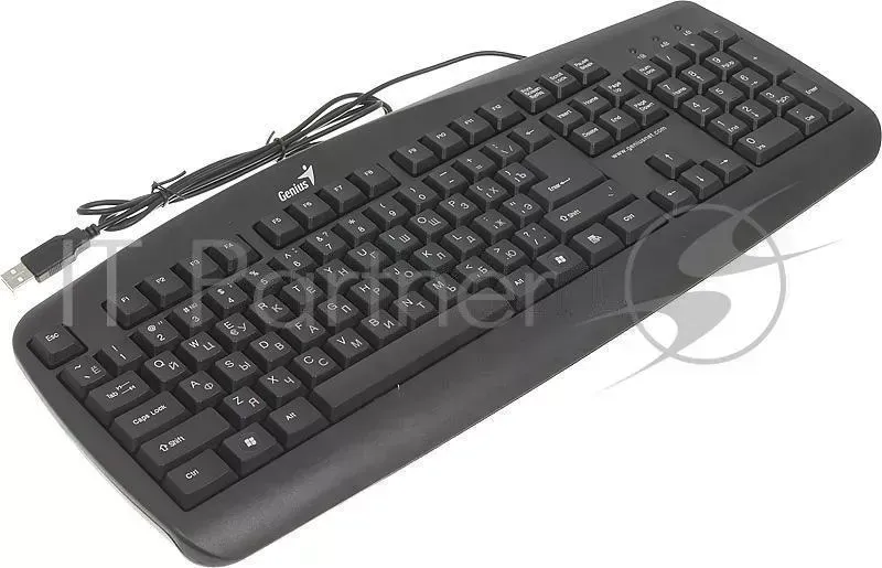 Клавиатура GENIUS KB 110 черный USB