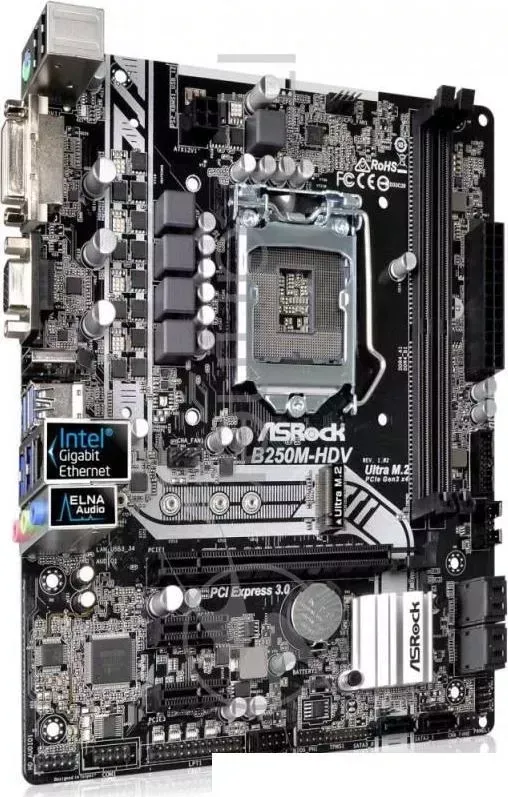 Материнская плата B250 S1151 MATX B250M-HDV ASROCK ASROCK M-HDV