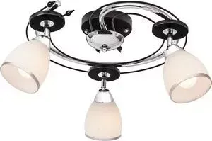 Потолочная люстра Silver Light Austerity 223.59.3