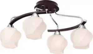 Потолочная люстра Silver Light Aranda 228.59.4
