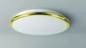 Светильник Citilux Потолочный светодиодный CL702302W