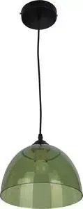 Светильник Toplight Подвесной TL4480D-01TG